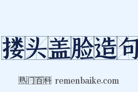 搂头盖脸造句是什么意思的图片